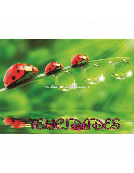 LAMINAS COMESTIBLES A4 C/L VAQUITA SAN ANTONIO