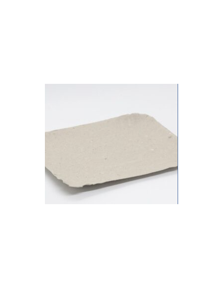 BANDEJA CARTON GRIS RECTANGULAR N 1 x100