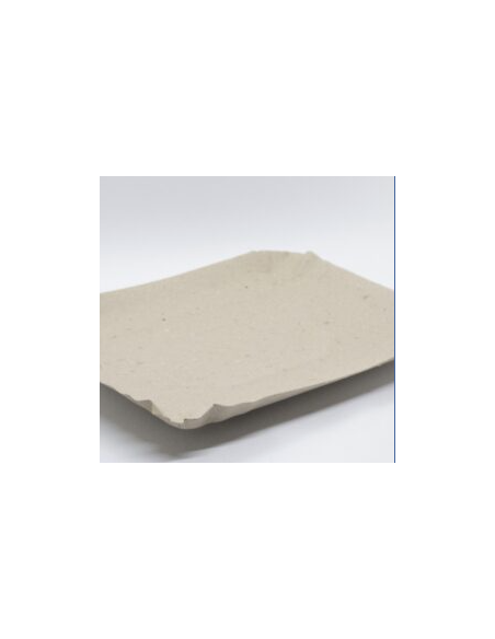BANDEJA CARTON GRIS RECTANGULAR N 5 x100