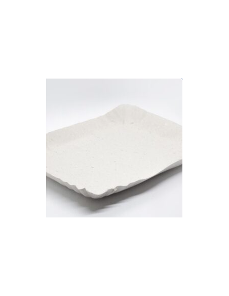 BANDEJA CARTON GRIS RECTANGULAR N 6 x100