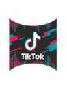 PIÑATA TIK TOK x1