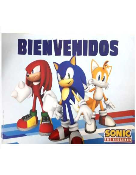 POSTER BIENVENIDOS SONIC x1
