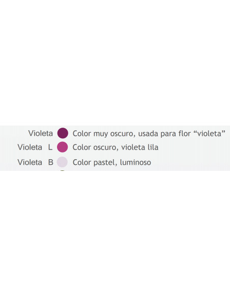 COLORANTE EN PASTA VIOLETA L X15GS